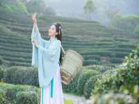 上海舜娟企业管理有限公司