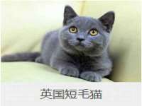 上海舜娟企业管理有限公司