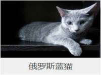 上海舜娟企业管理有限公司