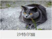 上海舜娟企业管理有限公司