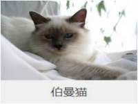 上海舜娟企业管理有限公司