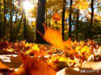 上海舜娟企业管理有限公司