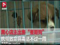 上海舜娟企业管理有限公司