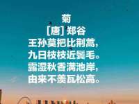 上海舜娟企业管理有限公司