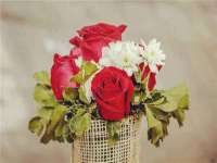 上海舜娟企业管理有限公司