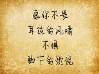上海舜娟企业管理有限公司