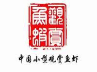 上海舜娟企业管理有限公司