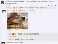 上海舜娟企业管理有限公司